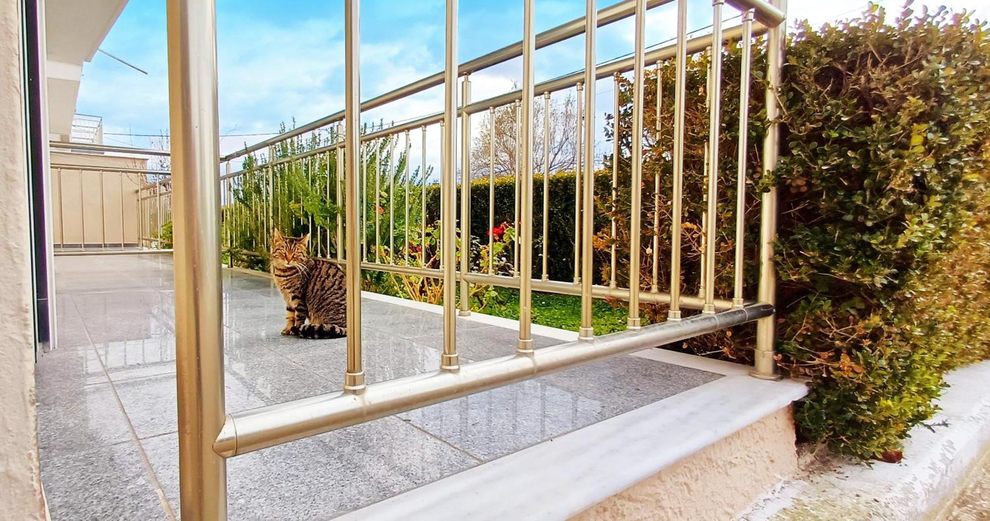 Arisvi All Seasons Hotel Skala Kallonis Dış mekan fotoğraf